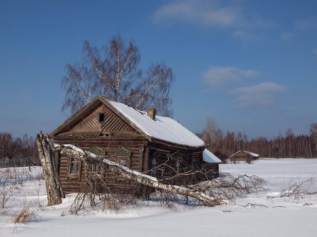, Владимир Перепечаев