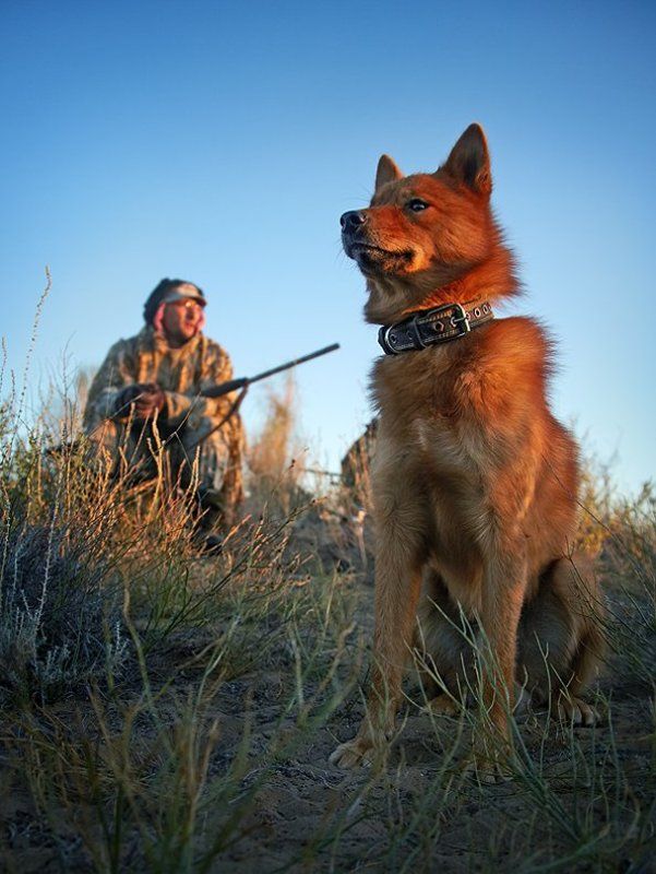 ЖДЁМССС ... фото превью