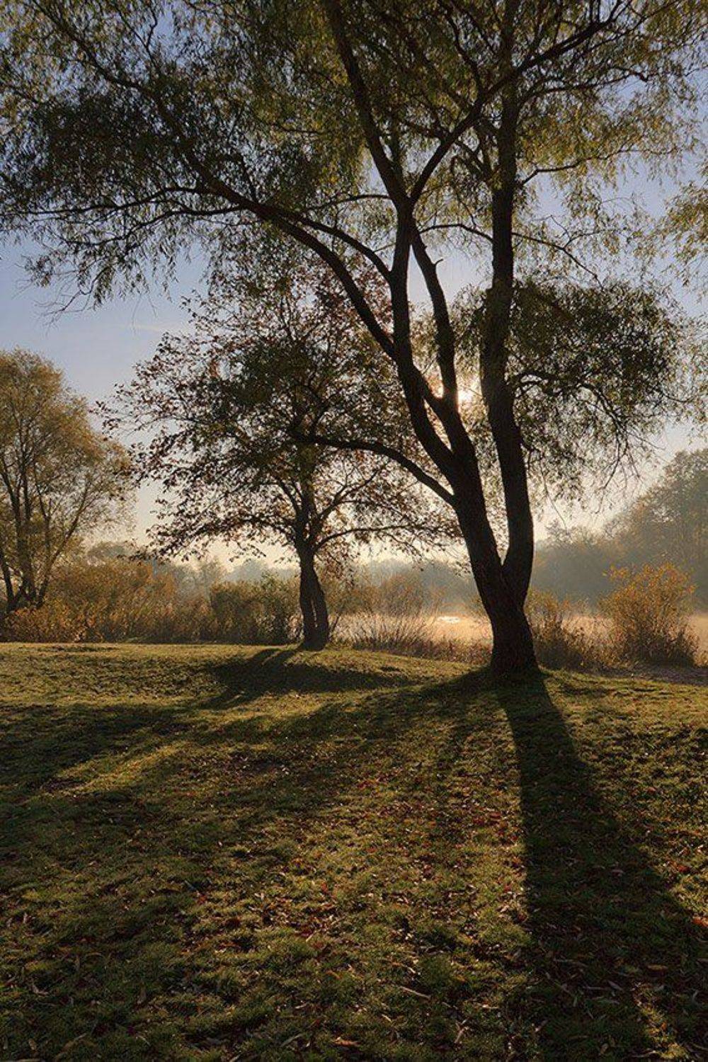 утро, восход, осень, солнце, Владимир Костылев