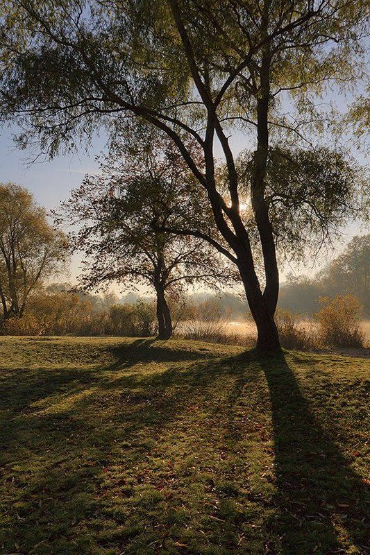 утро, восход, осень, солнце Осеннее  утро фото превью
