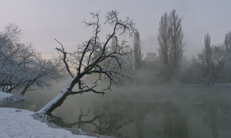 город, парк, зима река кубань БЕЗМОЛВИЕ фото превью