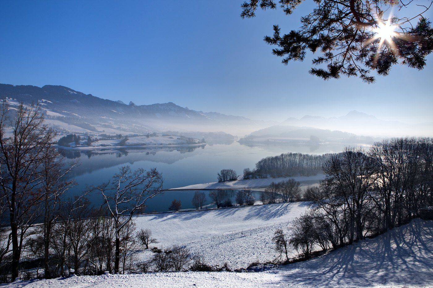 swiss, Матвеев Николай