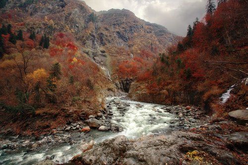 Краски Домбая