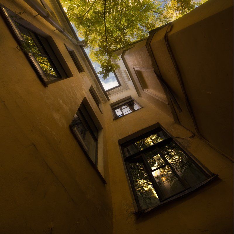 окна фото превью