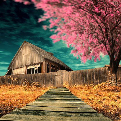 Old house