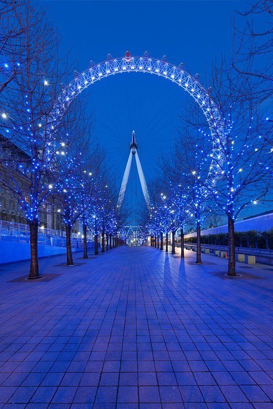 london, london eye, winter, blue hour, англия, лондон London Eye фото превью