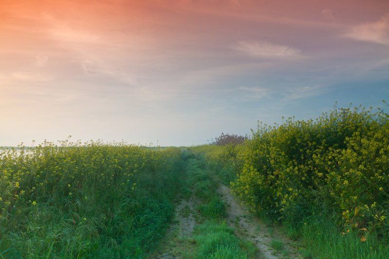 Рассвет. фото превью