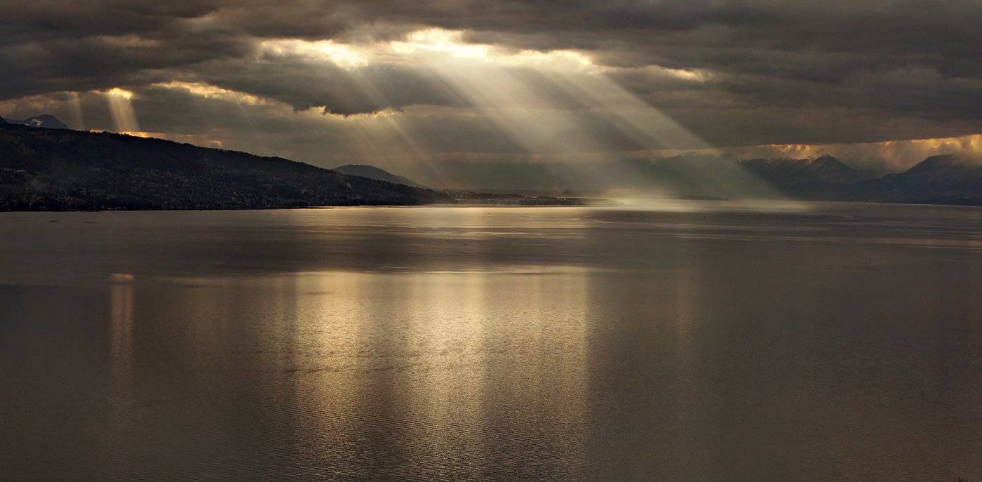 swiss, Матвеев Николай