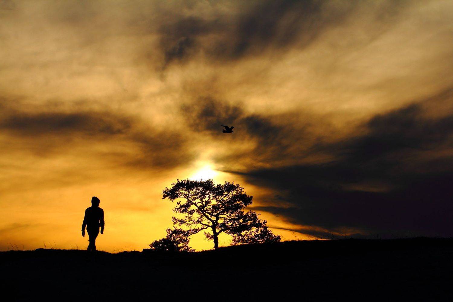 заход, солнце, вечер, небо, облака, sunset, evening, sky, clouds, coexistence, Дмитрий Салтыков