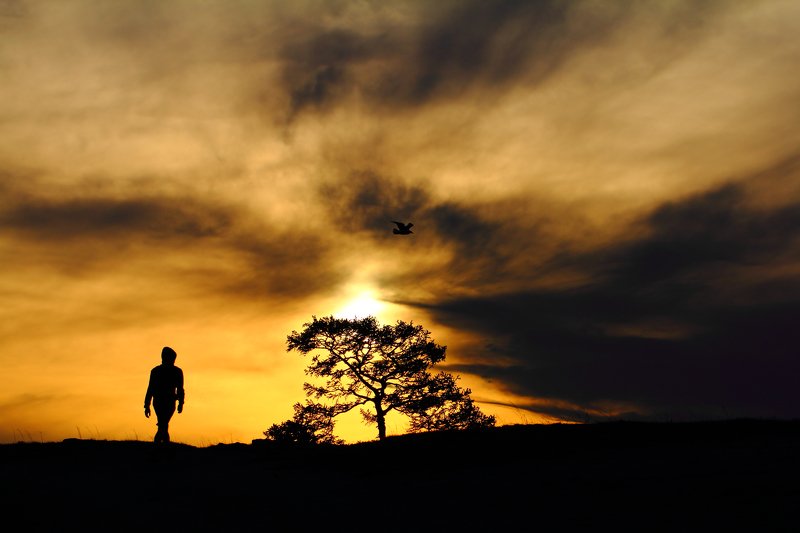 заход, солнце, вечер, небо, облака, sunset, evening, sky, clouds, coexistence Сосуществование... фото превью