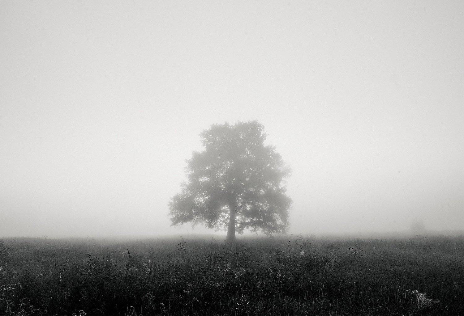 , Илья Мусатов