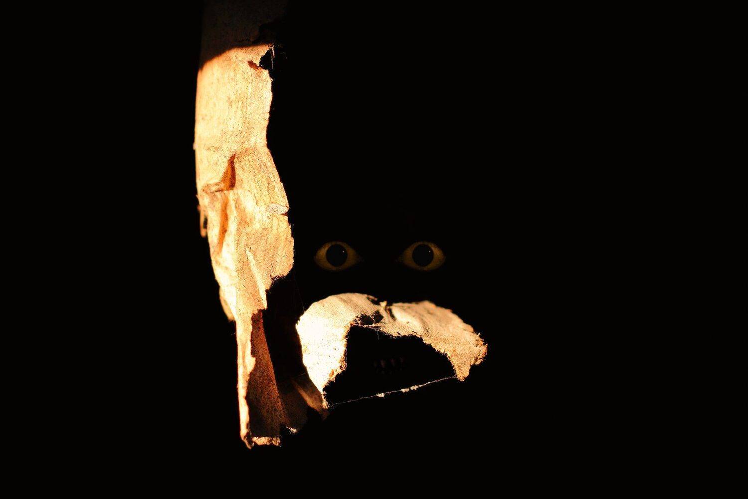 креатив, обработка, концепция, тьма, темнота, взгляд, concept, darkness, fear, look, Дмитрий Салтыков