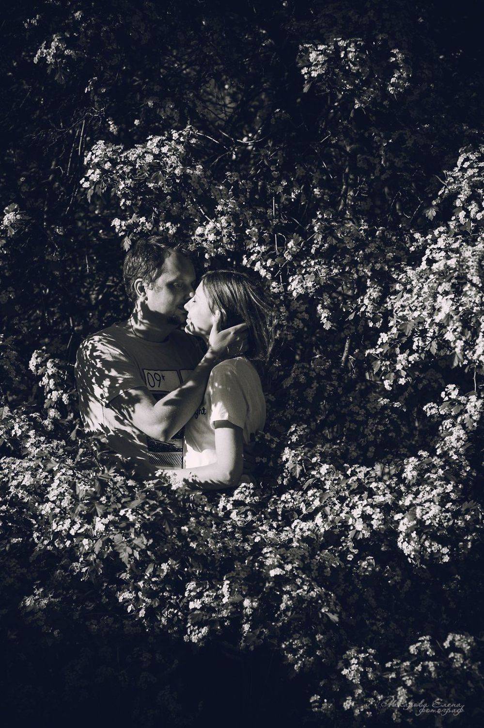 поцелуй, пара, love, kiss, sunlight, blossom, Макарова Елена