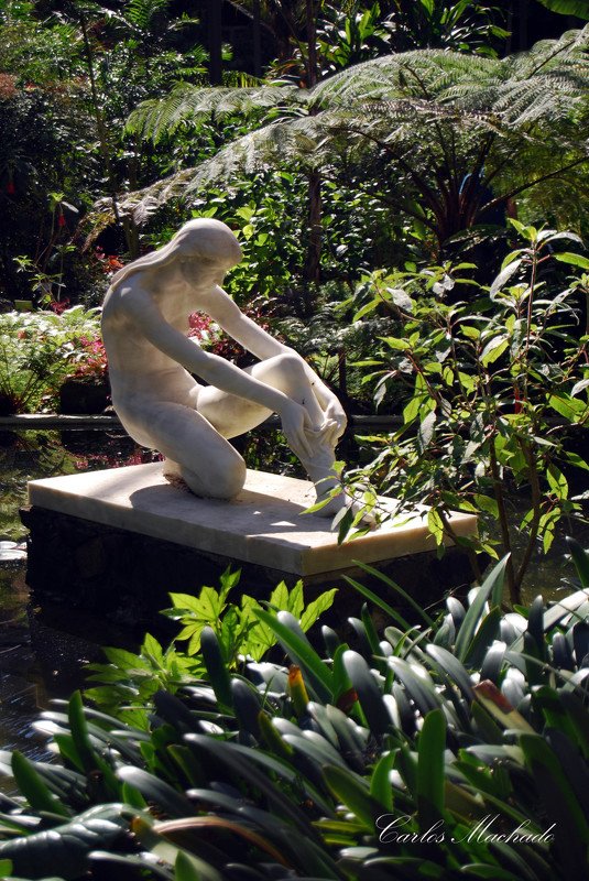 Travel, Street, Still Life Garden in Lisbon фото превью