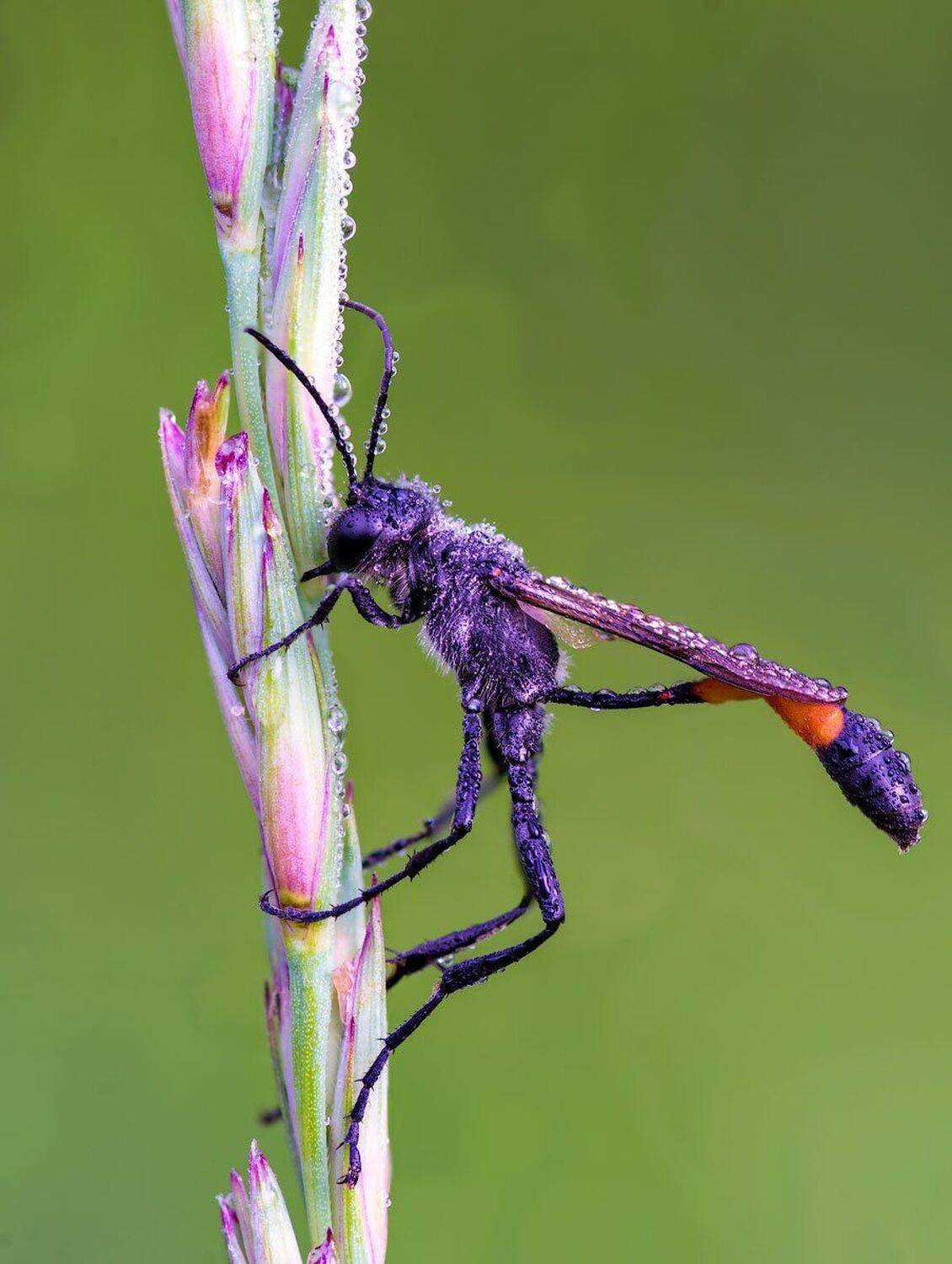 , Сергей Брагин