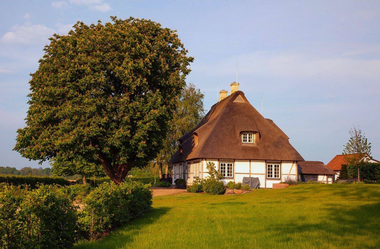 , Игорь Дубровский