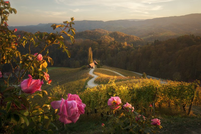 Словения фото превью