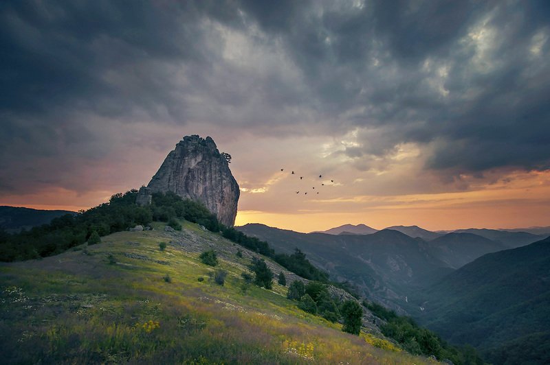Sarı kaya фото превью