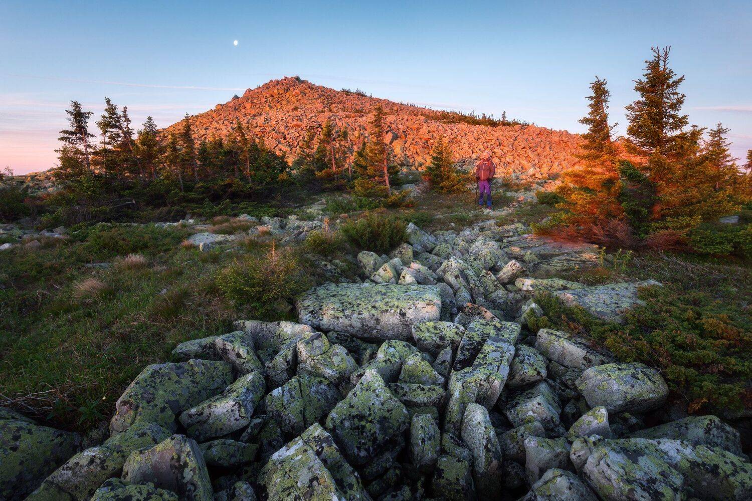 , Михаил Туркеев