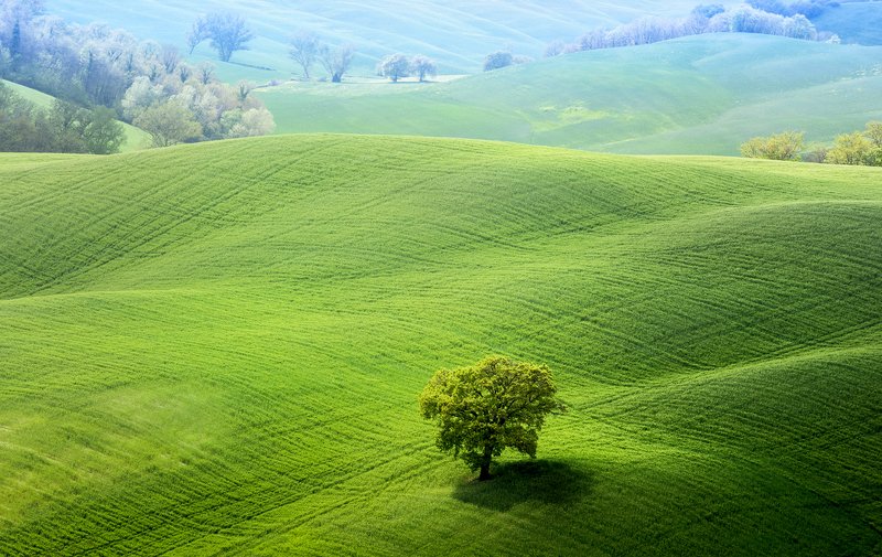 Green field фото превью