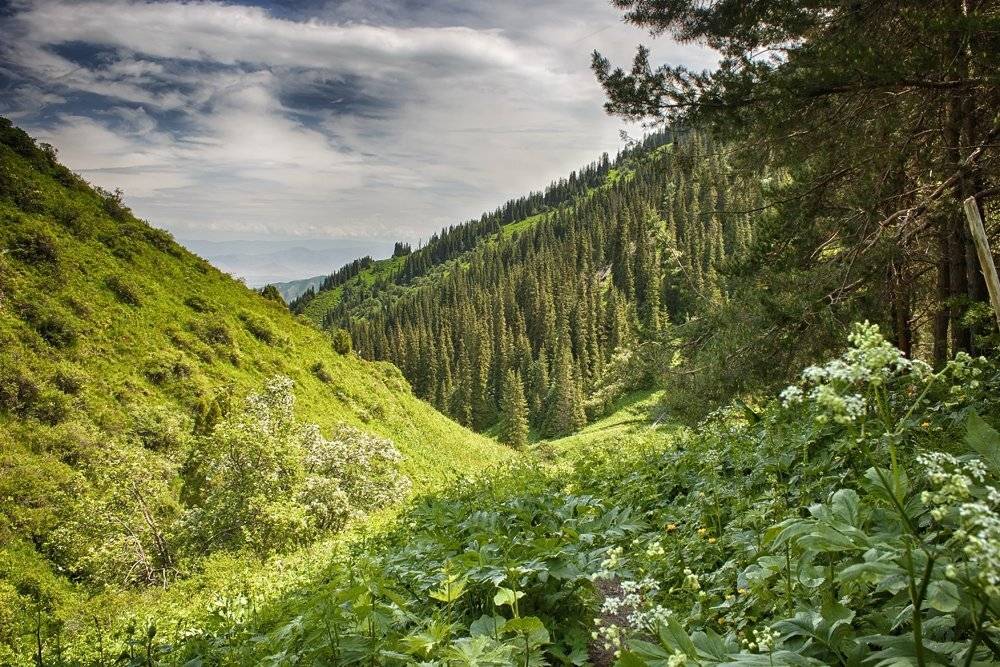 кыргызстан, горы, Элина Магалимова