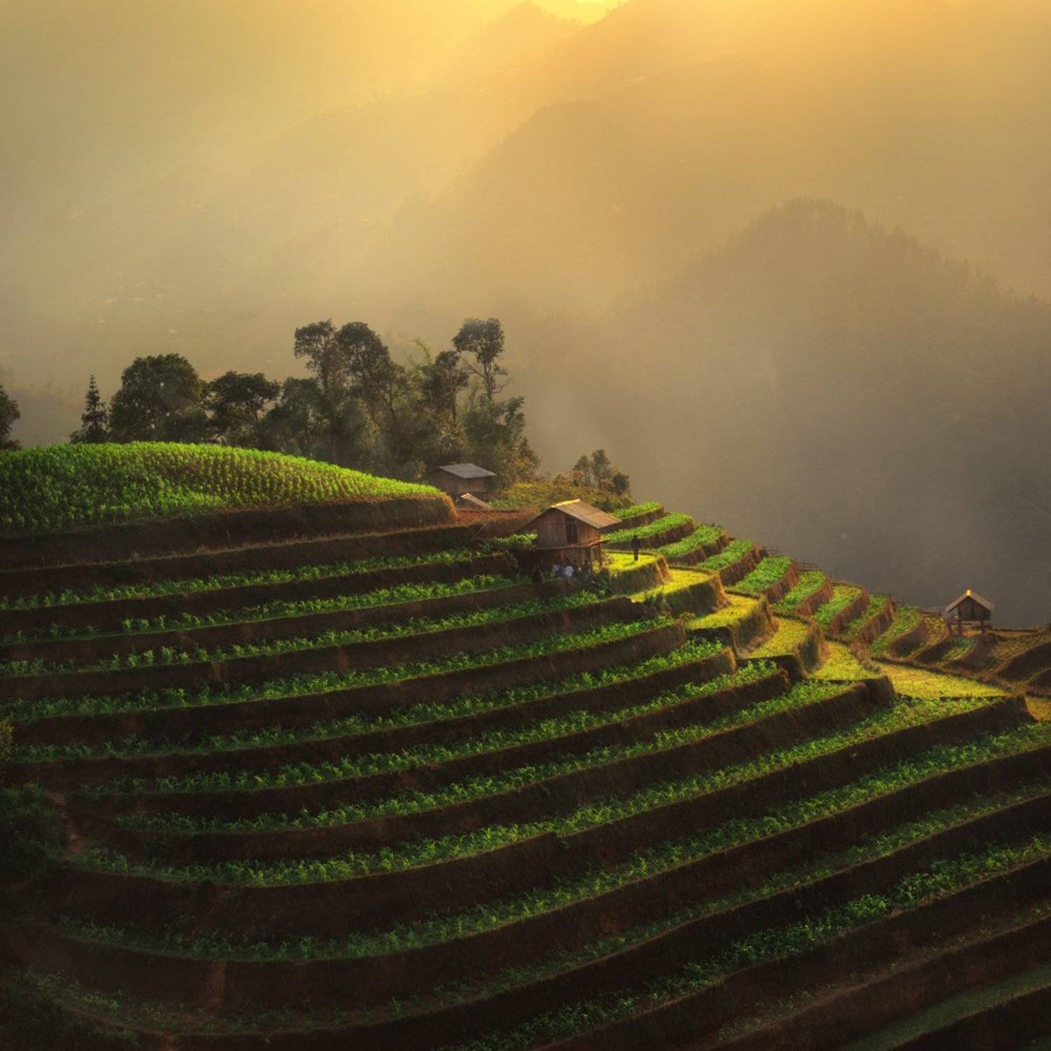 , Михалюк Сергей *