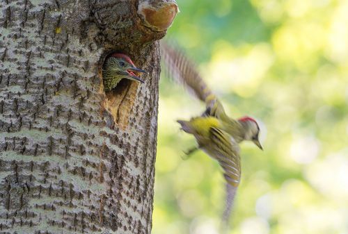 Возвращайся скорей!!!