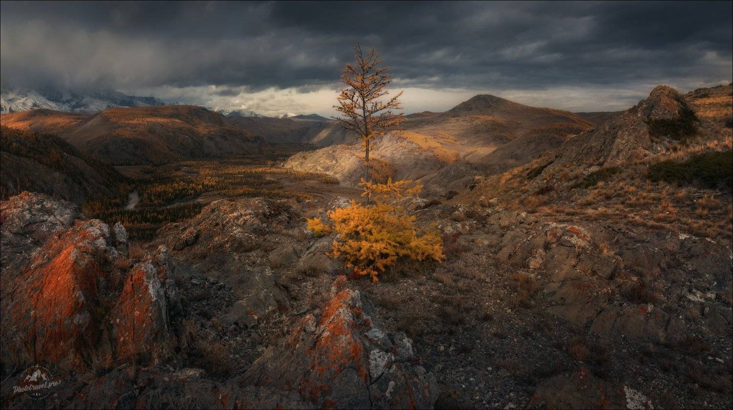 алтай, курай, курайская степь, северо-чуйский хребет, курайский хребет, урочище таджилу, Влад Соколовский