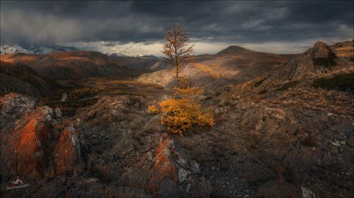 Одиночество осень ..