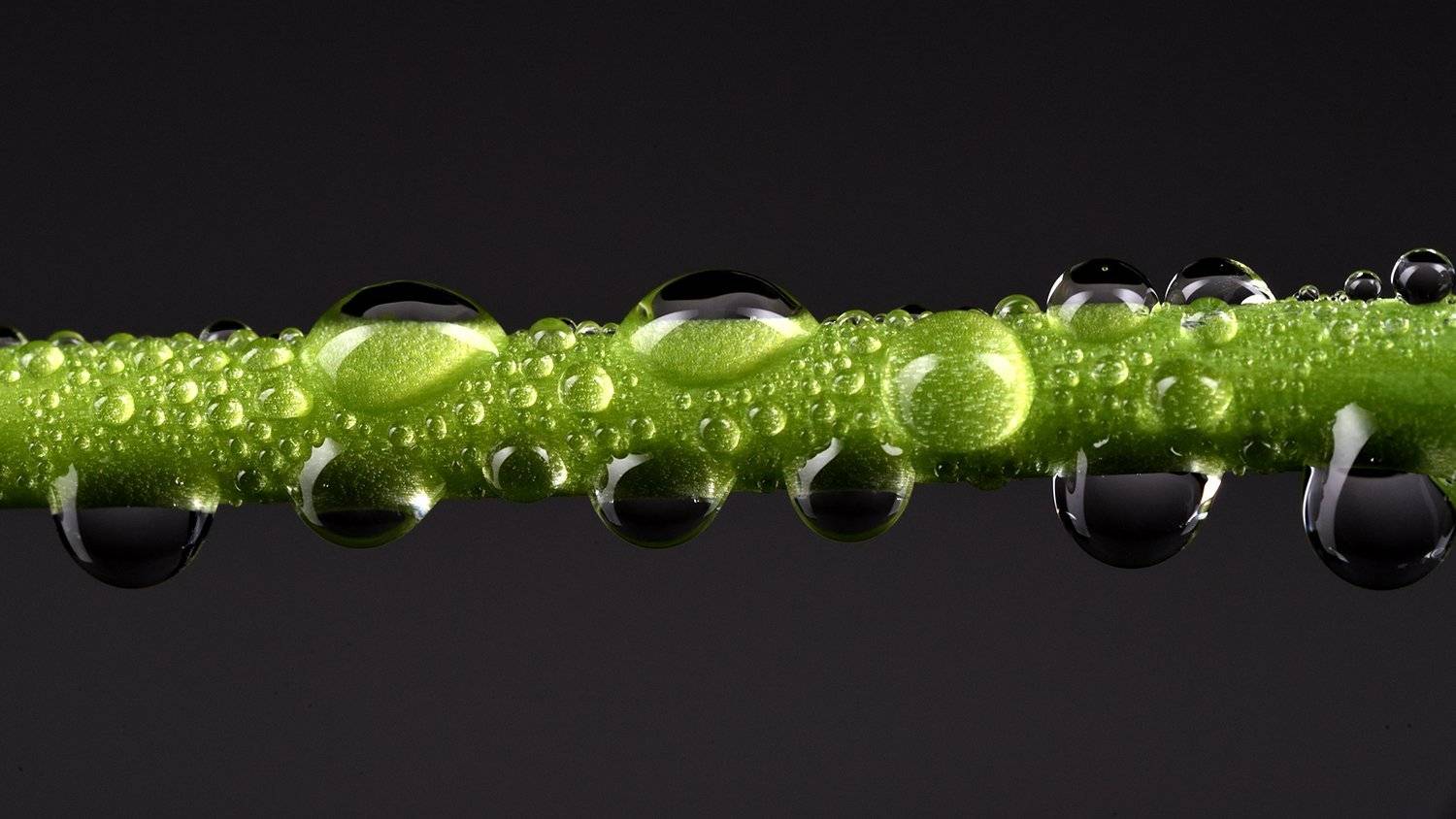 живительная влага, капли, Владимир Кураков