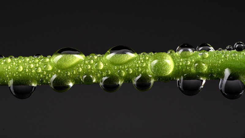 живительная влага, капли Живительная влага фото превью