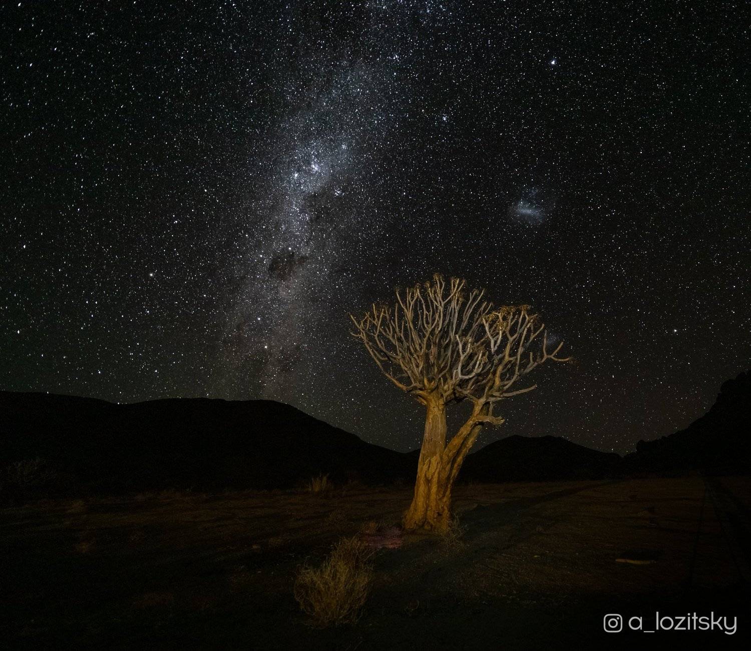 , Александр Лозицкий