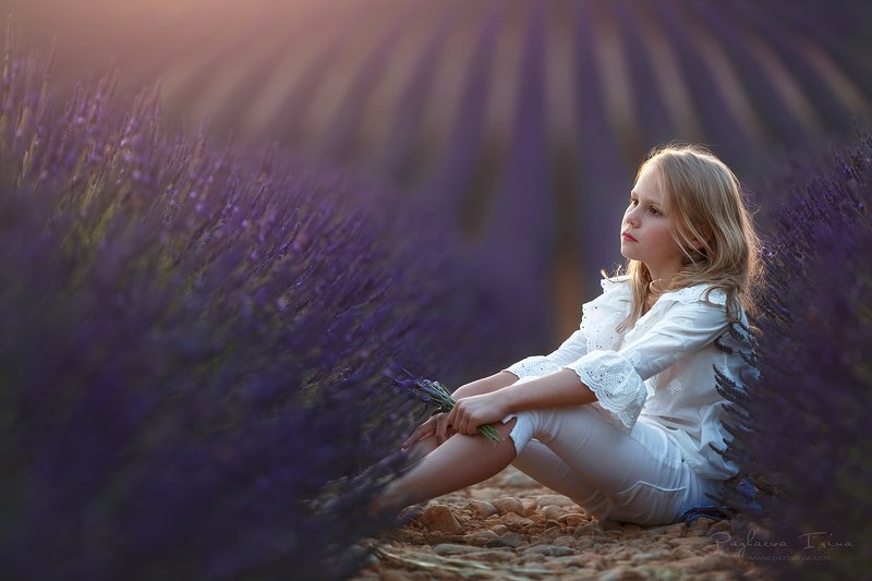 Вечер в Провансе фото превью