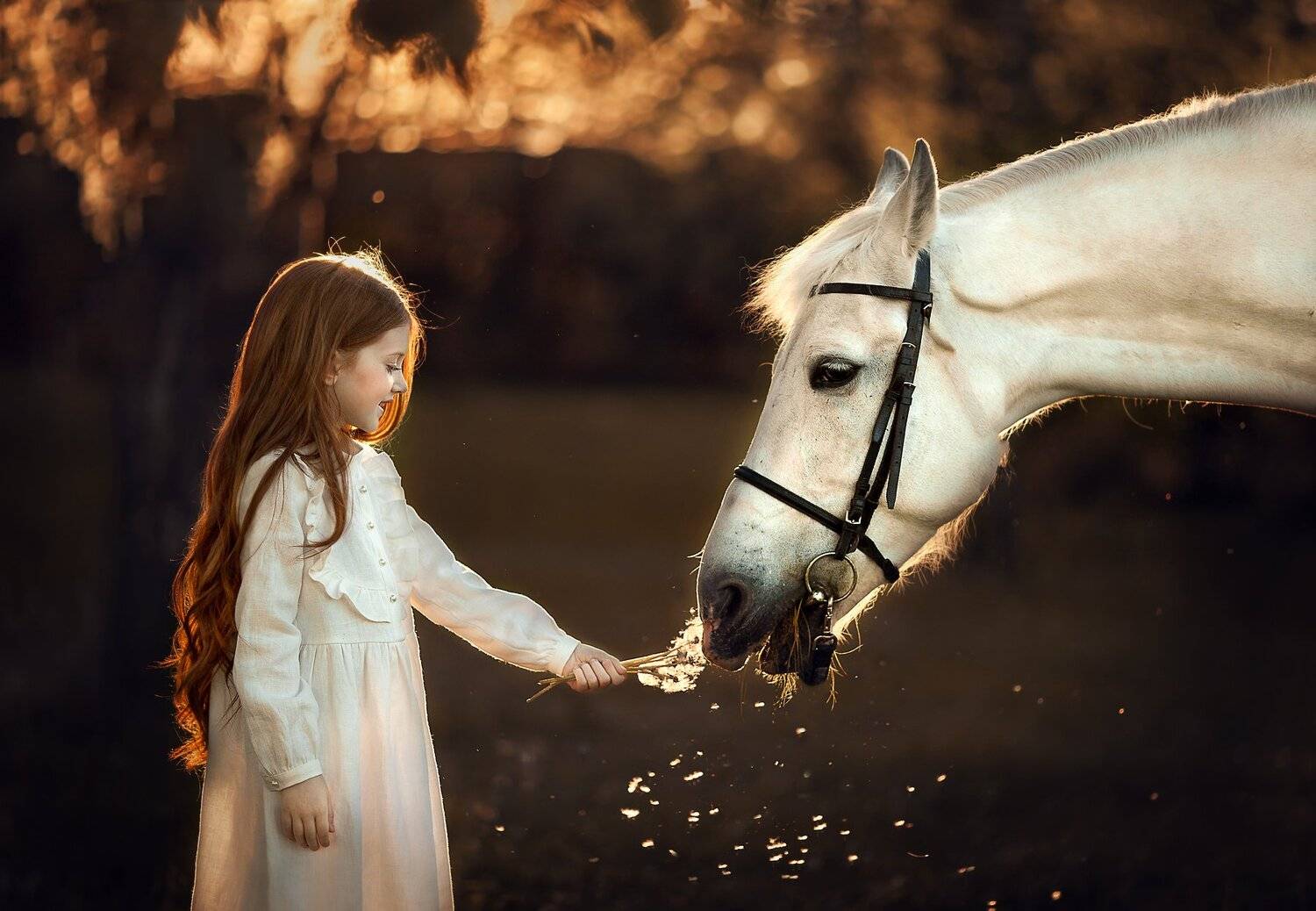 , Елена Силина