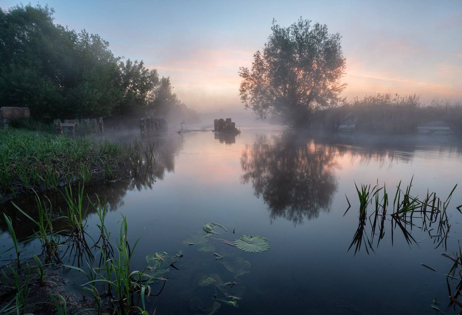 , Александр Бредихин