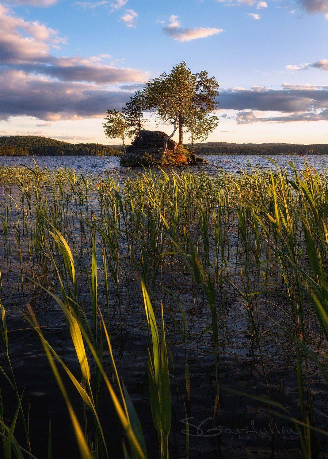 Таватуй, отсров, бонсай, озеро, Средний Урал, Урал, Сергей Гарифуллин