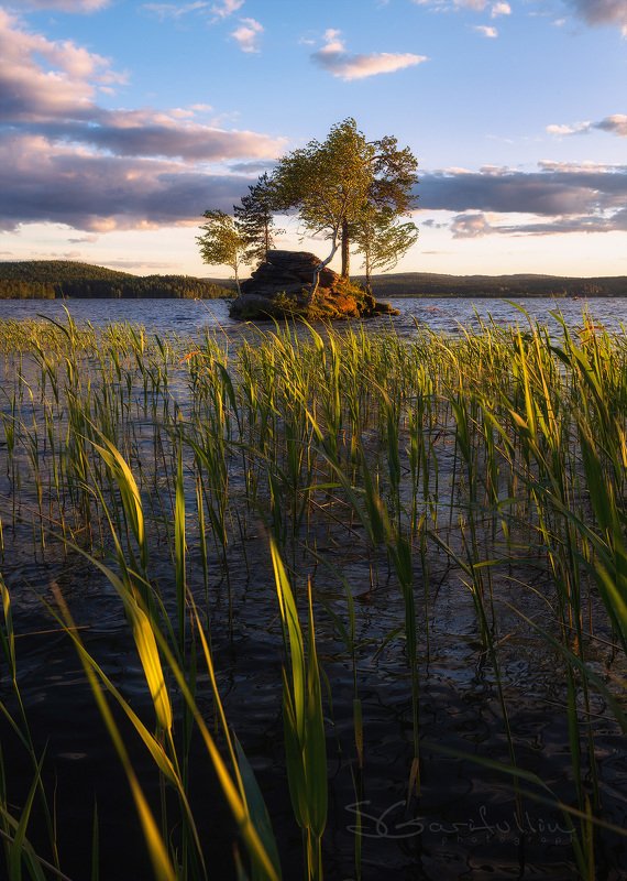 Таватуй, отсров, бонсай, озеро, Средний Урал, Урал Дрейфующий остров фото превью