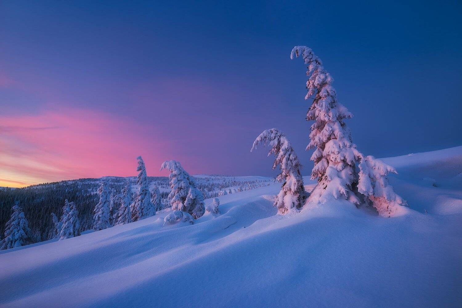 , Szabo Zsolt Andras