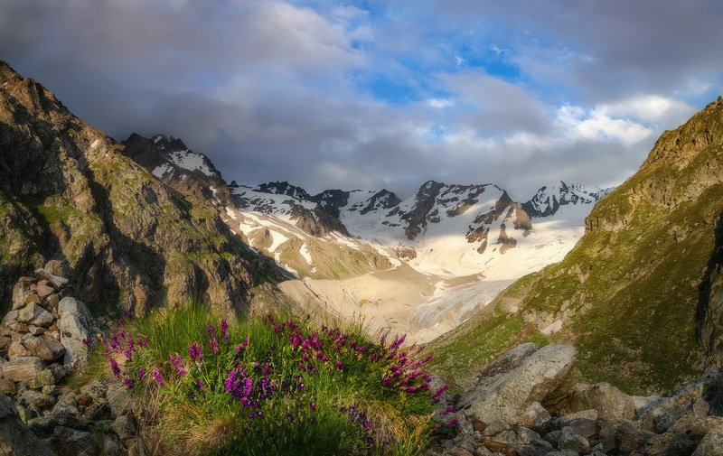 Клумбочка фото превью