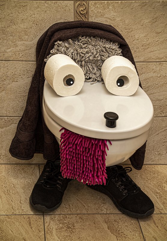 Ваттер клозетто спаниель фото превью