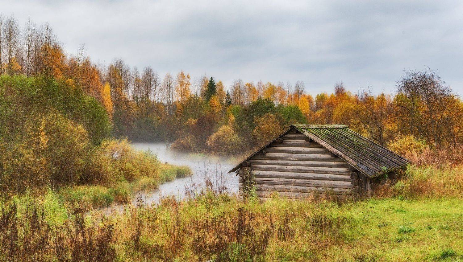 кенозеро, кенозерье, Владимир Липецких