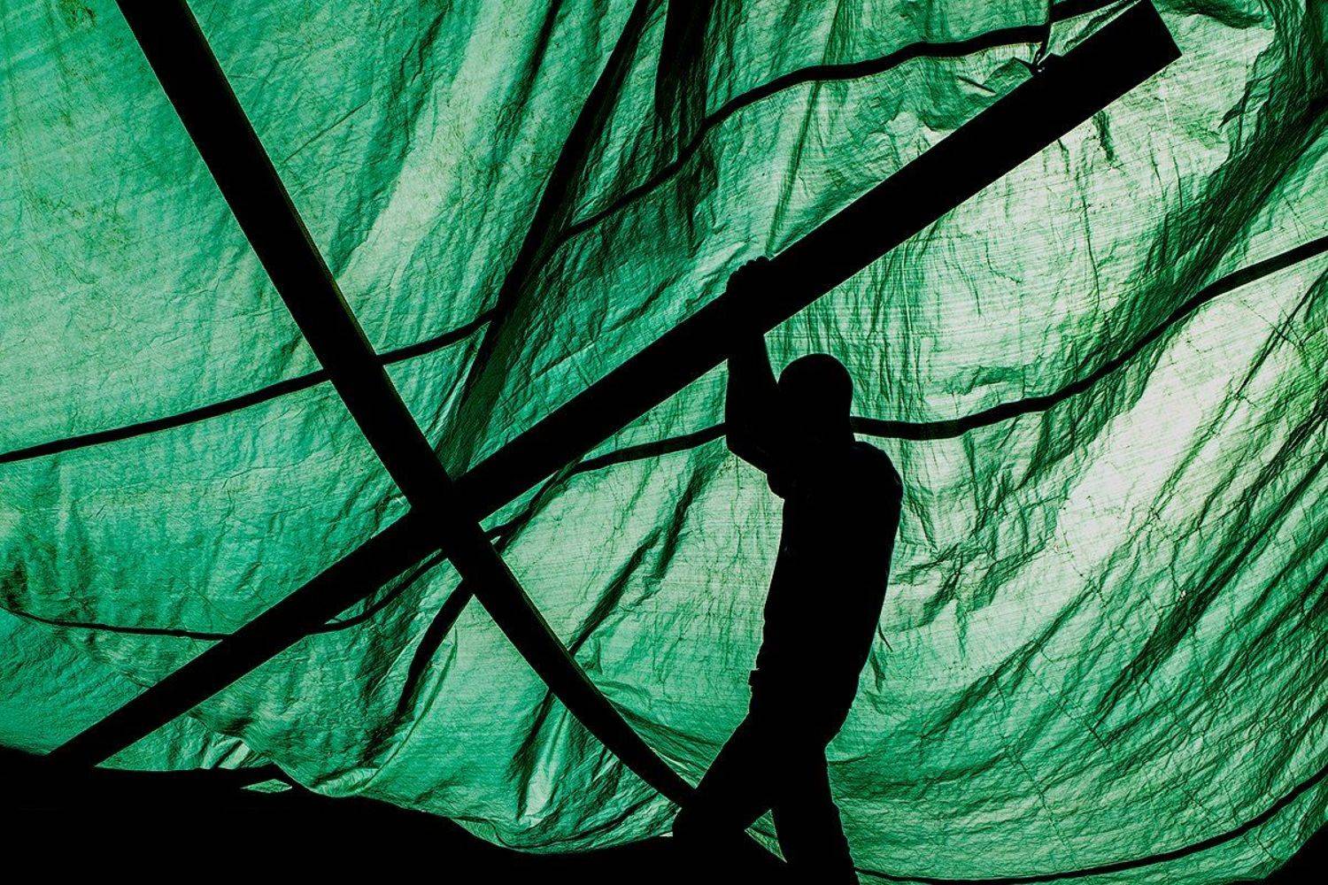 zebrophoto  art silhuette , Андрей Веселов