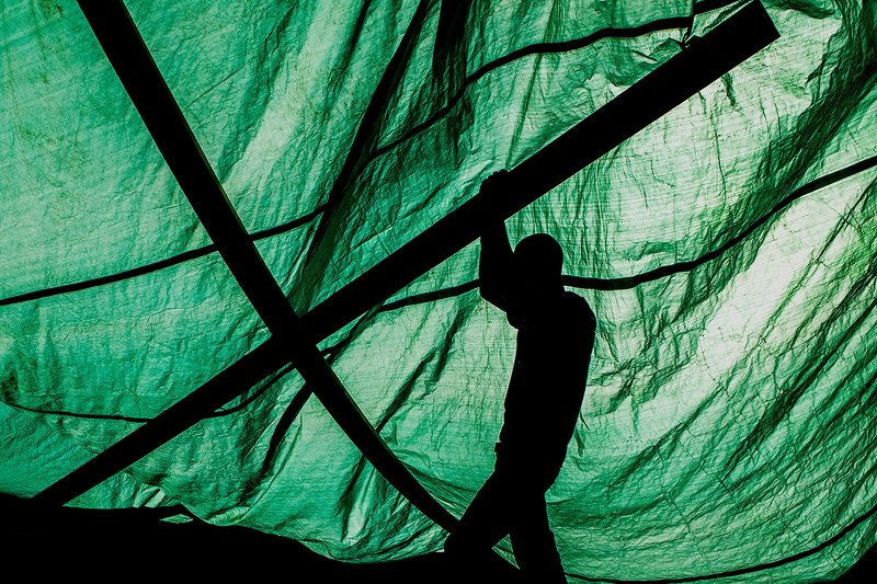 zebrophoto  art silhuette   фото превью