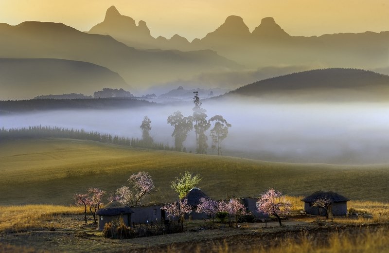 ** фото превью