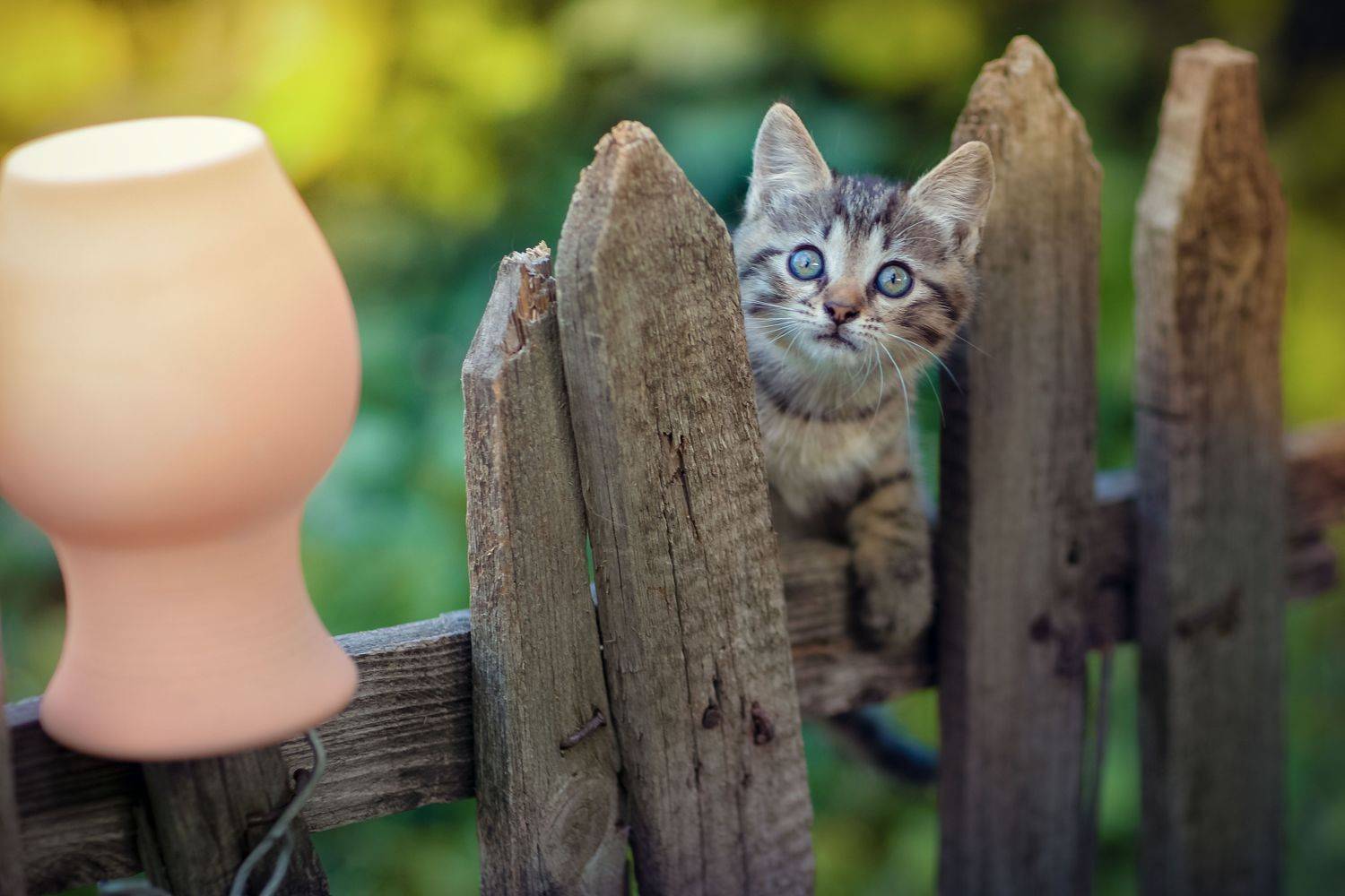, Коротун Юрий