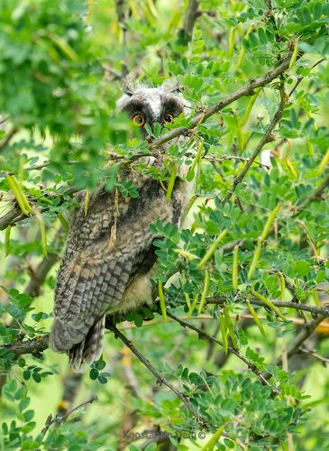 Ууух! Я в домике