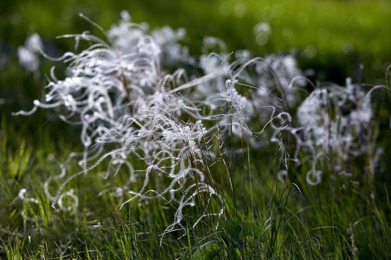 южный, урал, долгие горы, орск, новотроицк, карагай, урал, Качурин Алексей