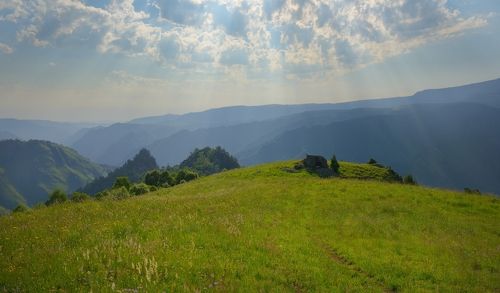 Тропинка в горах