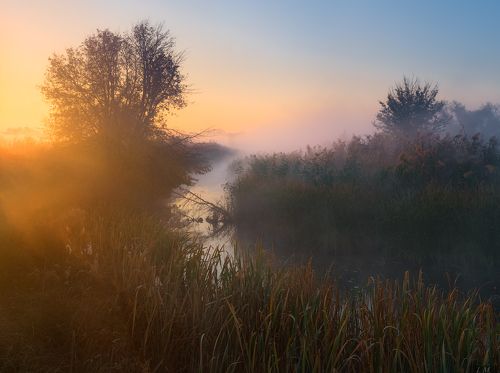 в золотое утро ..