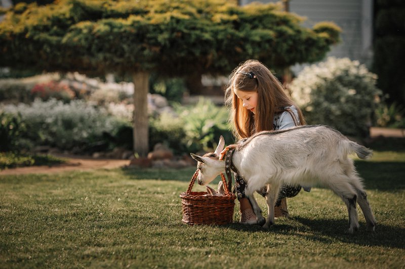 ... фото превью